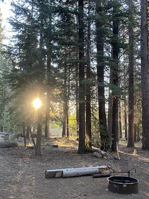 Bogard Campground Picture 2