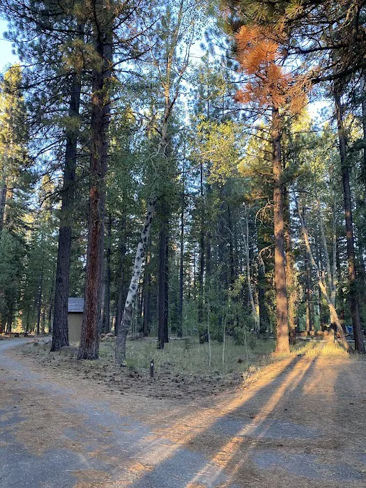 Bogard Campground Picture 6