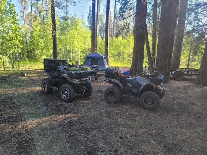 Bogard Campground Picture 5