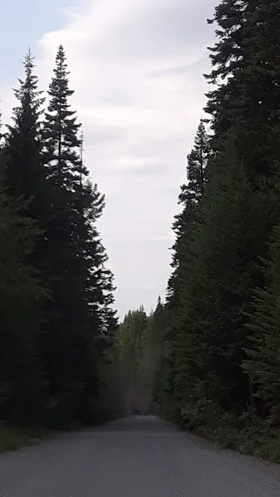 Williamson Campground, USFS Picture 10