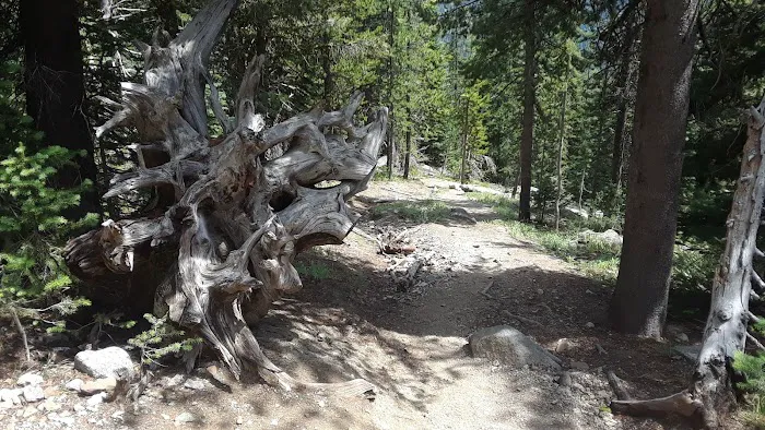 Williamson Campground, USFS Picture 9