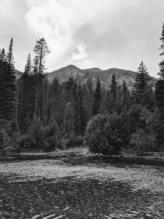 Williamson Campground, USFS Picture 8