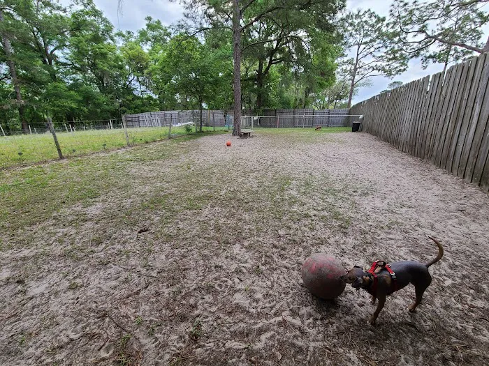 Suwannee Valley Resort LLC Picture 7