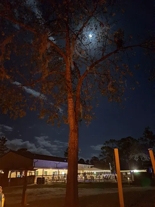 Suwannee Valley Resort LLC Picture 4