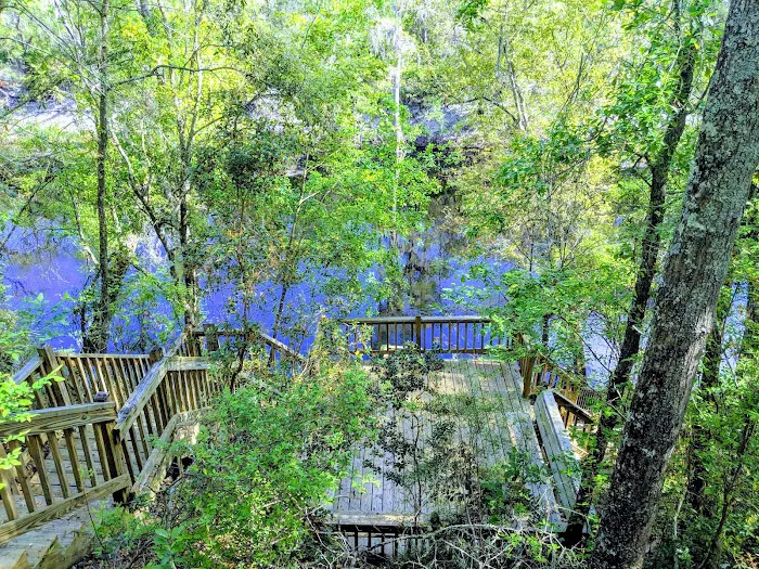 Suwannee Valley Resort LLC Picture 9