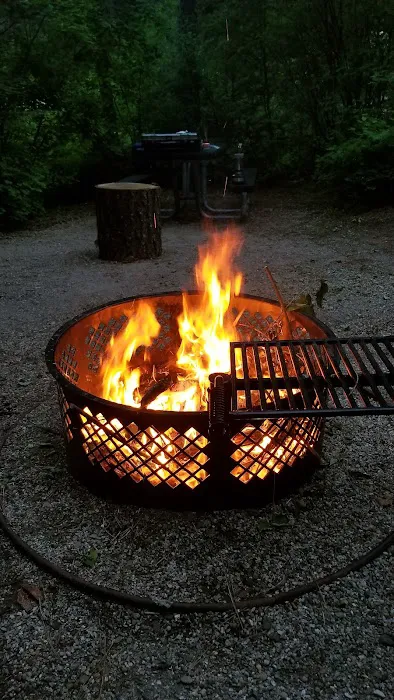 Swinging Bridge Campground Picture 2