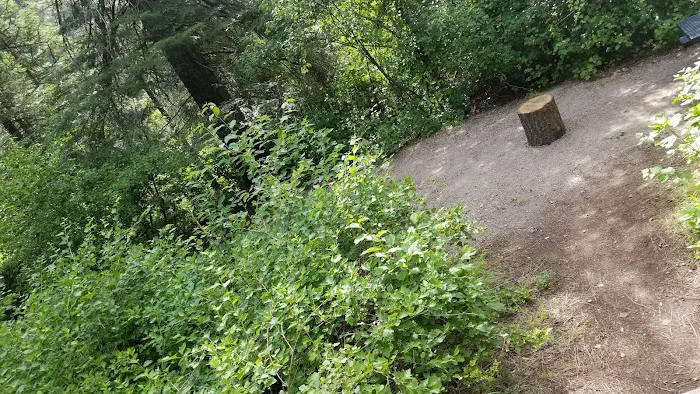 Swinging Bridge Campground Picture 4