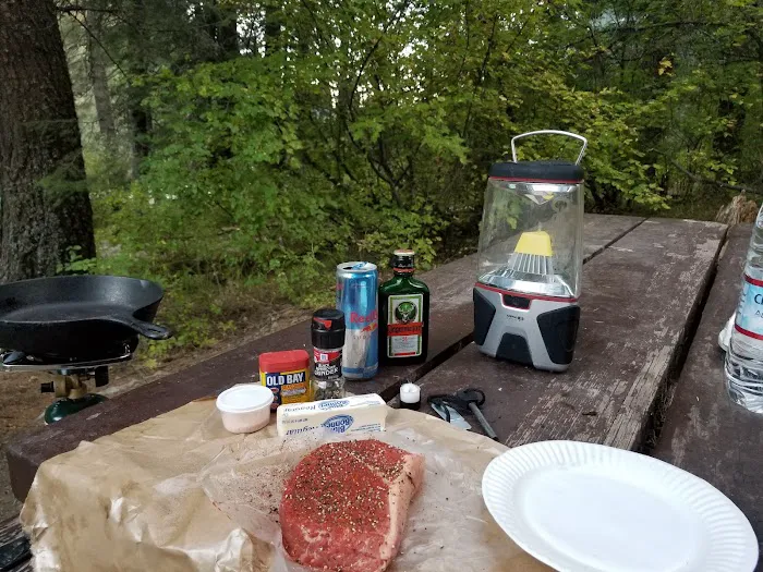 Swinging Bridge Campground Picture 10