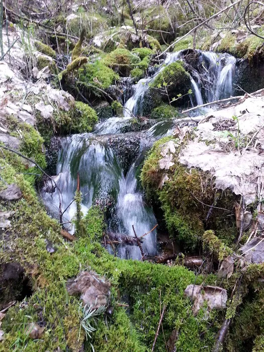 Swinging Bridge Campground Picture 9