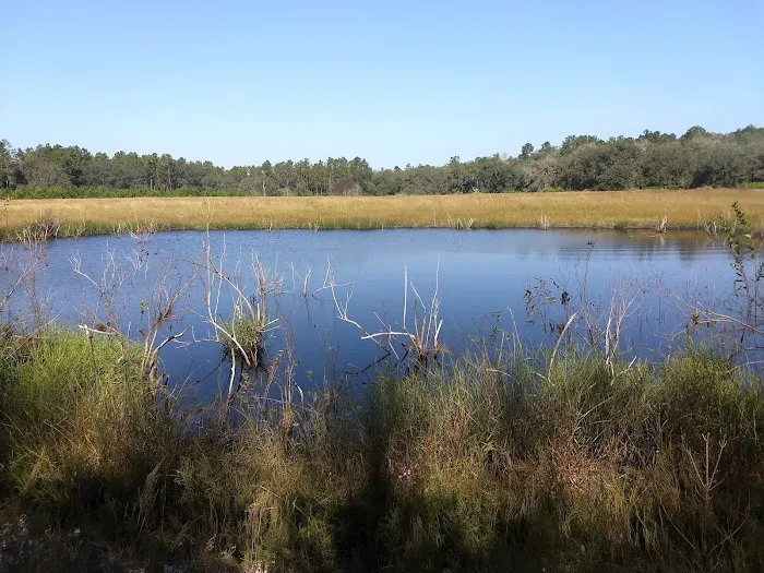 Kelly's RV Park Picture 4