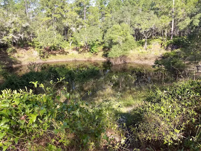 Kelly's RV Park Picture 10
