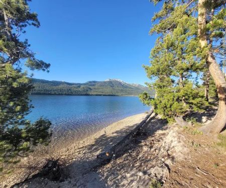 Smokey Bear (Alturas) Campground