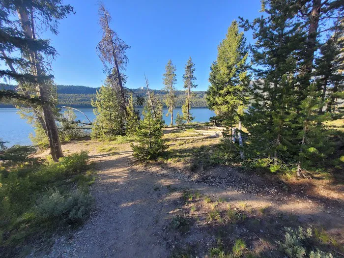 Smokey Bear (Alturas) Campground Picture 7