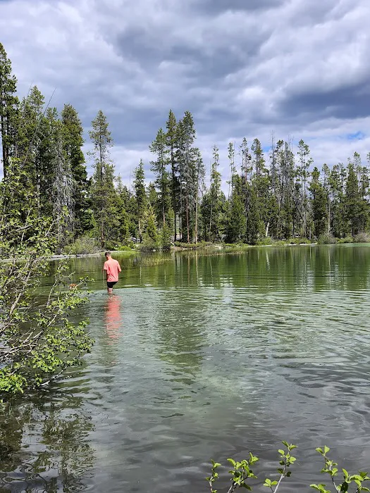 Pettit Lake Campground Picture 2