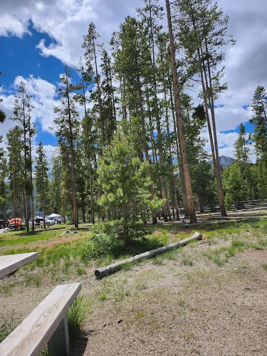 Pettit Lake Campground Picture 6