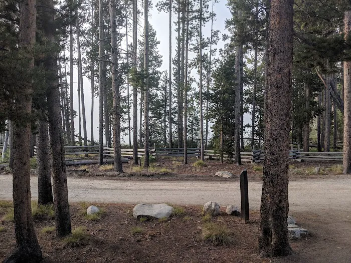 Pettit Lake Campground Picture 9