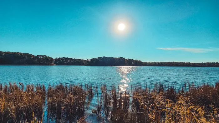 Lakelife RV Park Picture 1