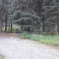McCully Forks Campground ico