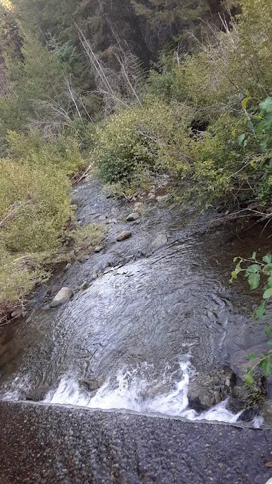 McCully Forks Campground Picture 4