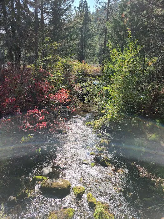 McCully Forks Campground Picture 6