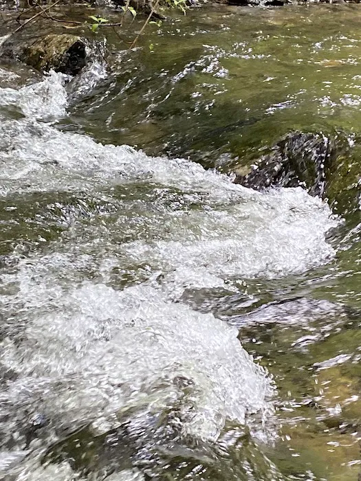 McCully Forks Campground Picture 7