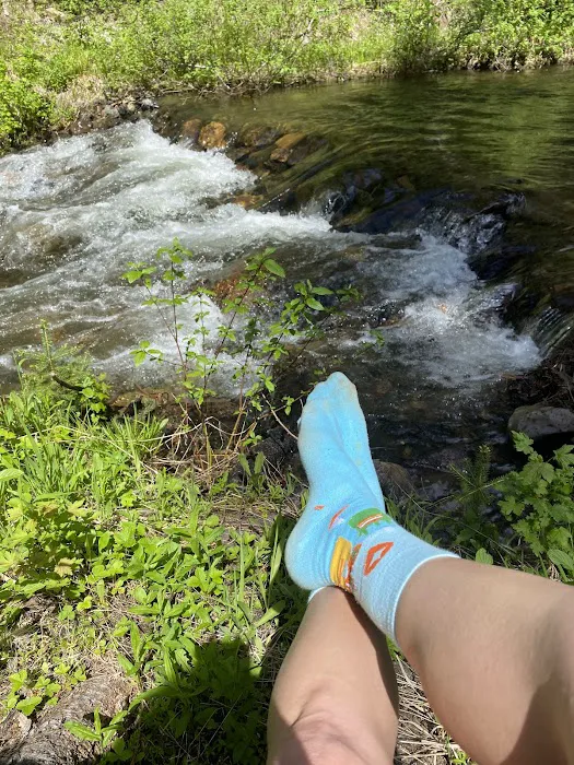 McCully Forks Campground Picture 8