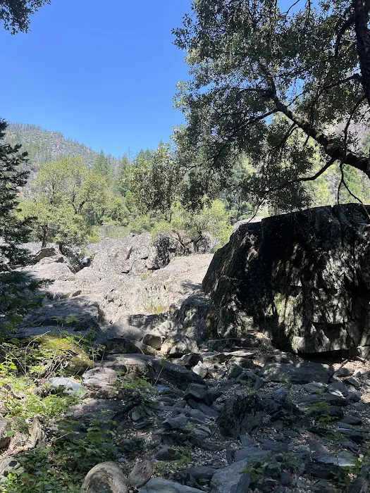 Greenville Mutual Aid Campground Picture 1