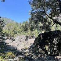 Greenville Mutual Aid Campground ico