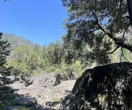 Greenville Mutual Aid Campground