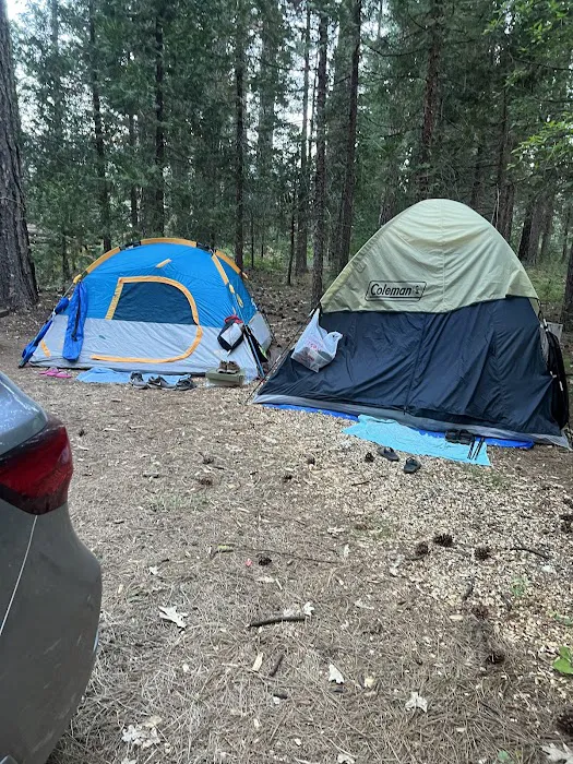 Greenville Mutual Aid Campground Picture 4