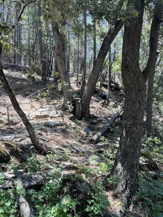 Greenville Mutual Aid Campground Picture 8