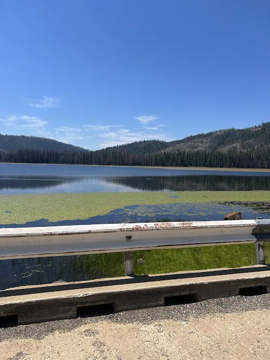 Greenville Mutual Aid Campground Picture 7