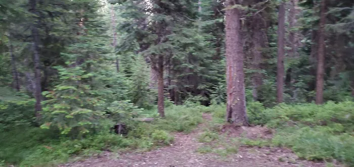 Dixie Campground Picture 3