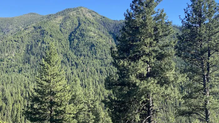 Dixie Campground Picture 6