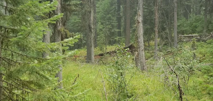 Dixie Campground Picture 5