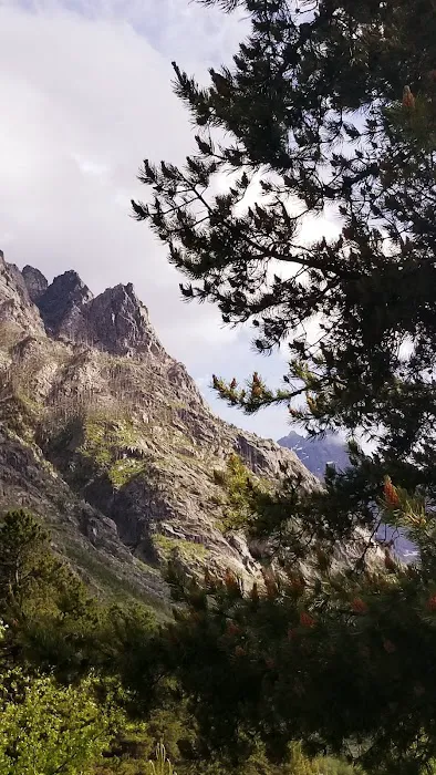 East Rosebud Campground Picture 9