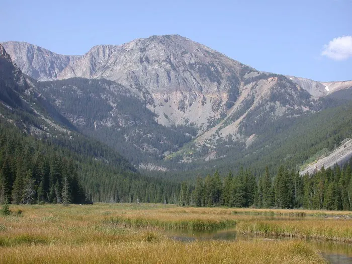 East Rosebud Campground Picture 10