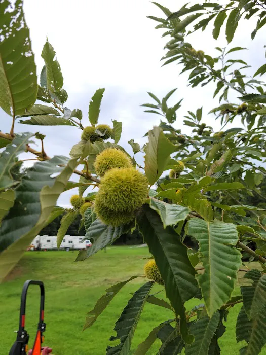 Brag Patch RV Park Picture 9