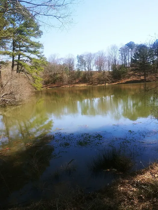 Brag Patch RV Park Picture 10