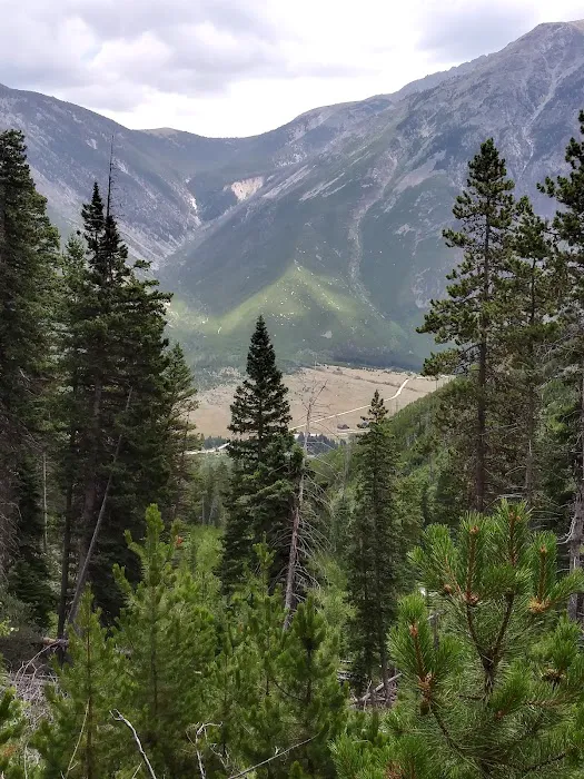 Jimmy Joe Campground Picture 2