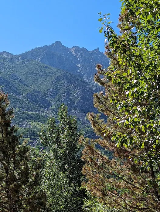 Jimmy Joe Campground Picture 10