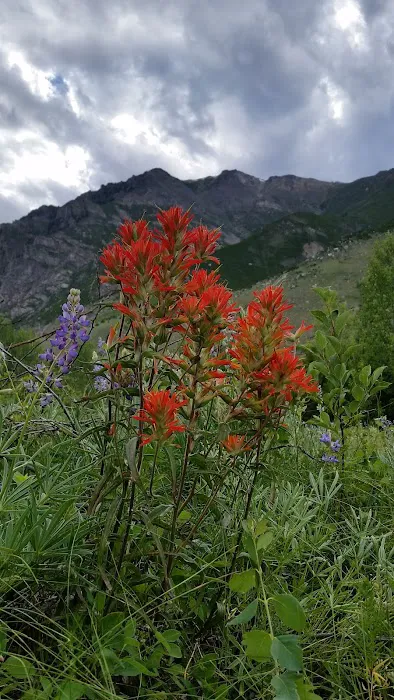 Jimmy Joe Campground Picture 9