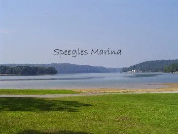 Speegle's RV Park & Campground Picture 6