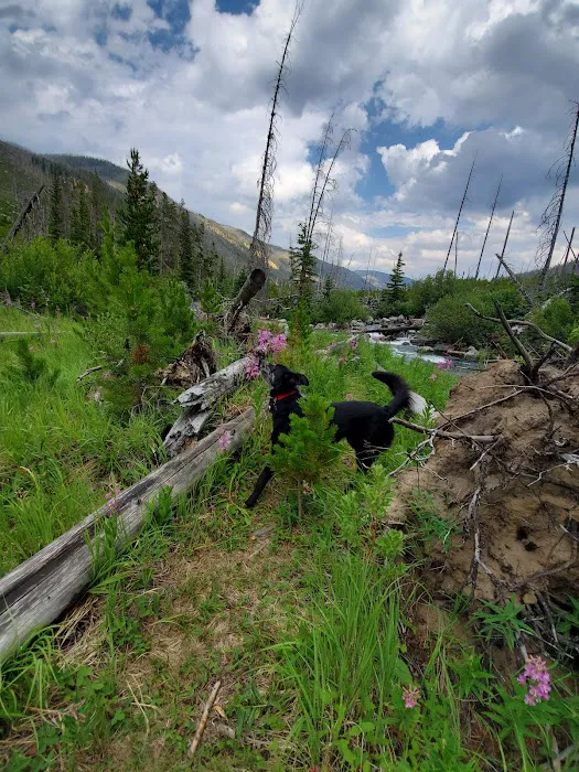 Cascade Campground Picture 4