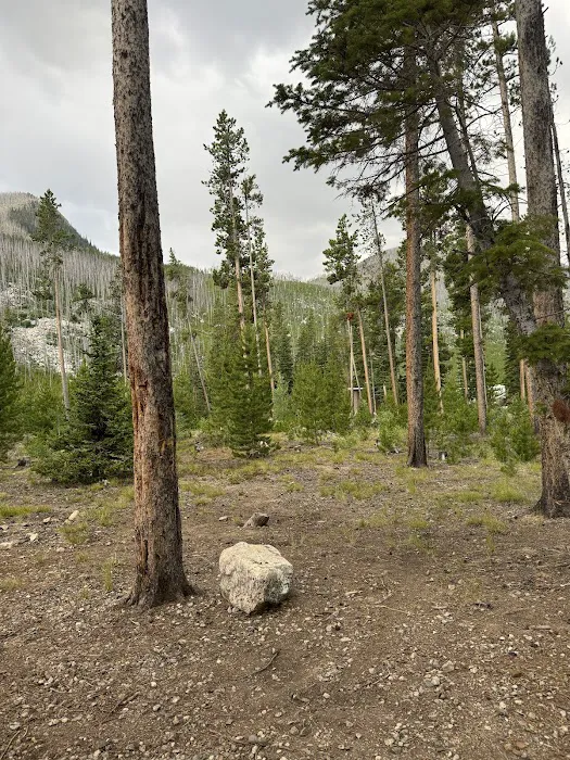 Cascade Campground Picture 3