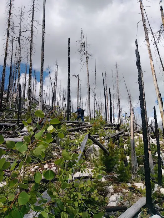 Cascade Campground Picture 8