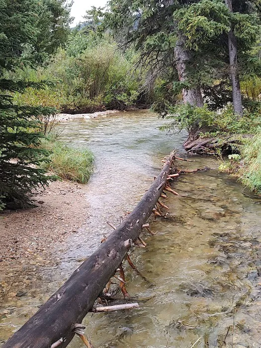 Basin Campground Picture 8