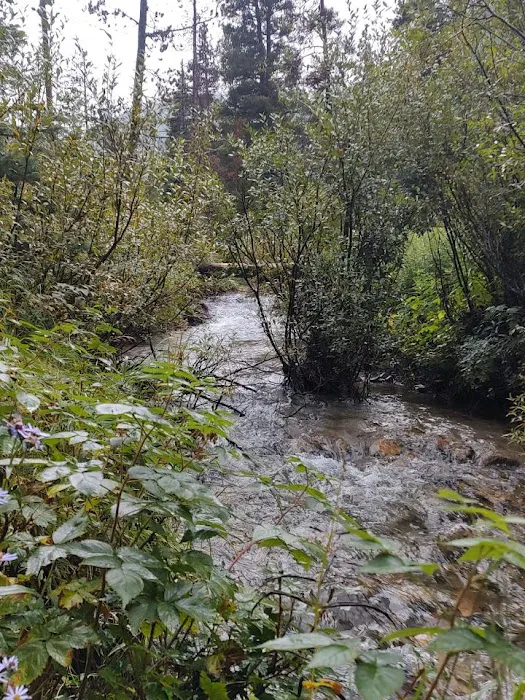 Basin Campground Picture 6