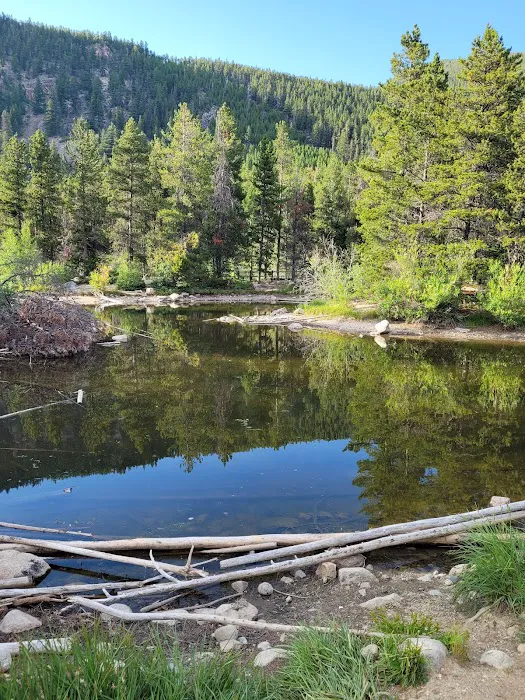 Wild Bill Lake Picture 7