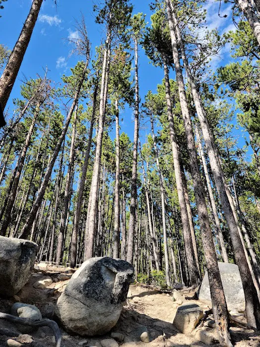Wild Bill Lake Picture 8